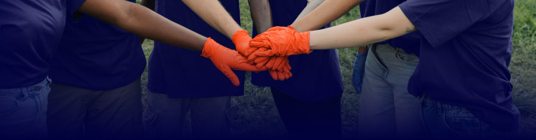 Non-profits